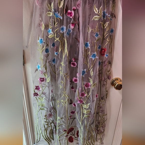 Floral Embroidered Sheer Dress - Picture 15 of 16
